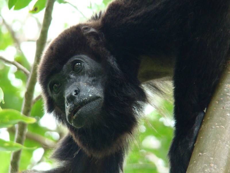 otro la historia de un hombre a quien conocimos en el viaje