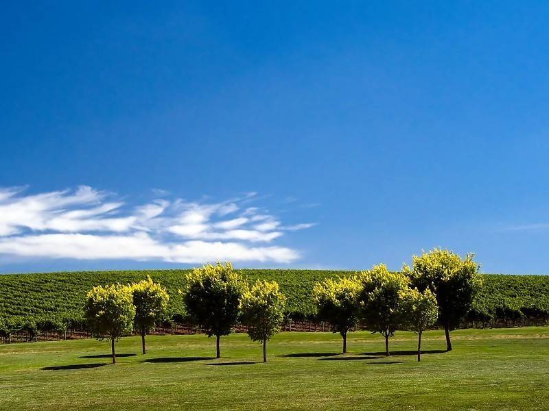 se sentia a gusto y con ganas de dormir gracias al vino