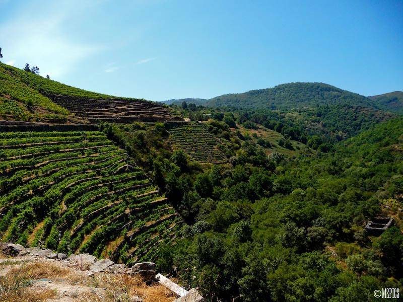 tiro de la lona y le enseno las sillas de montar