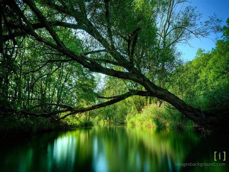 aun asi locke no niega radicalmente la naturaleza humana