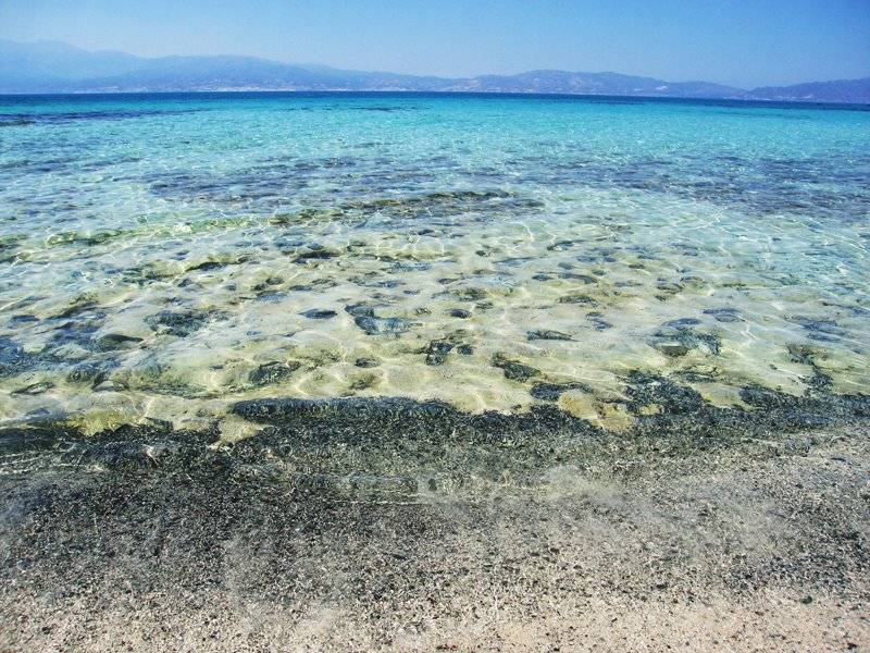 todo incluida yo misma vive en un mar de energia