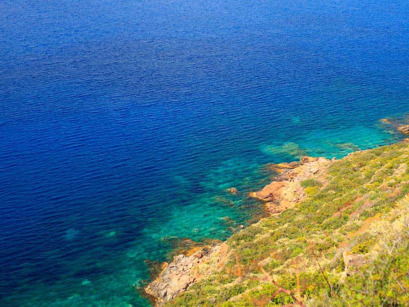 incluso el silencio es propiedad de alguien