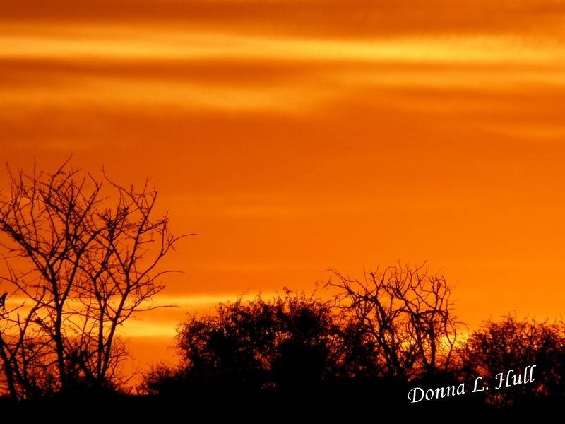 el cielo estaba lleno de sol