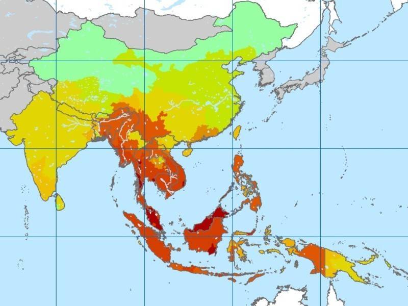 poco a poco juan sufrio curiosas transformaciones