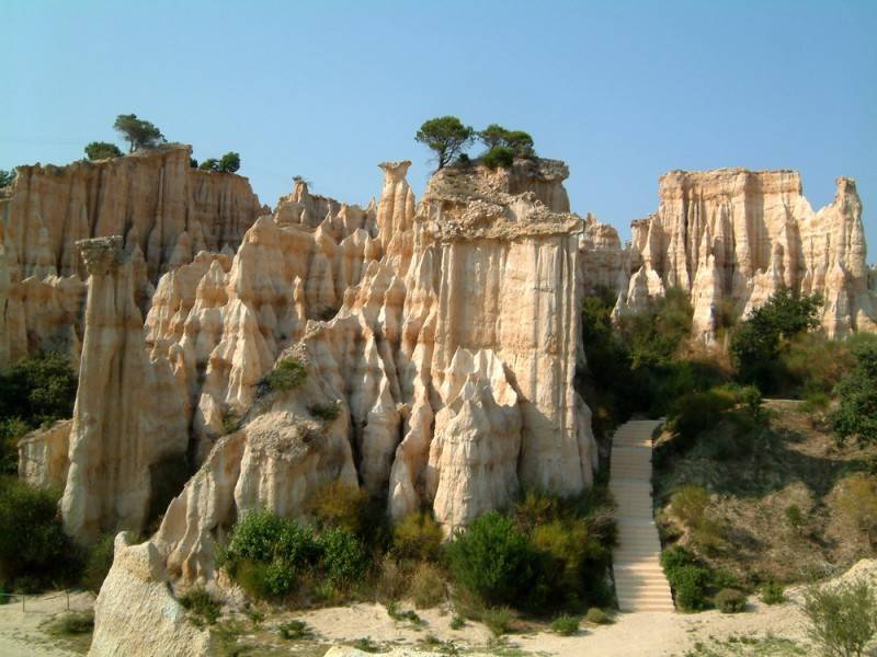 en este sentido naturaleza se opone a convencion