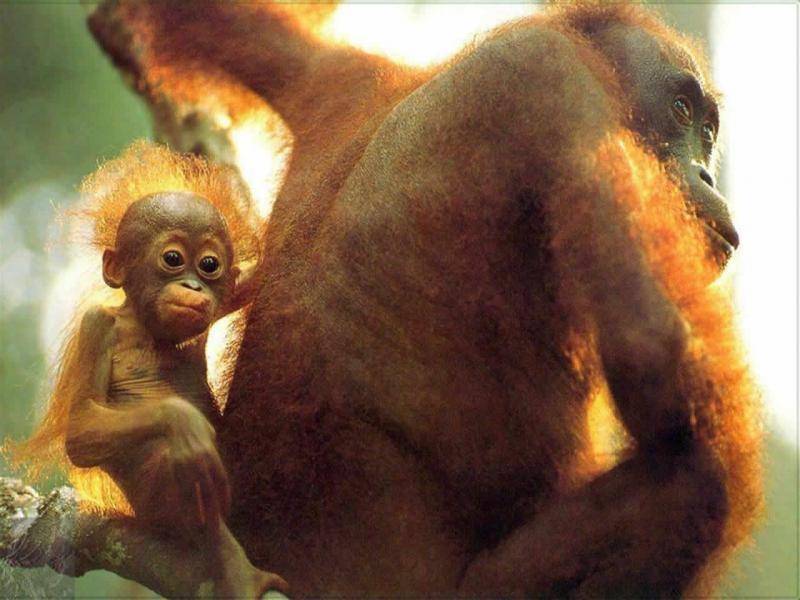 ella sonrio y cruzo sus manos sobre las rodillas