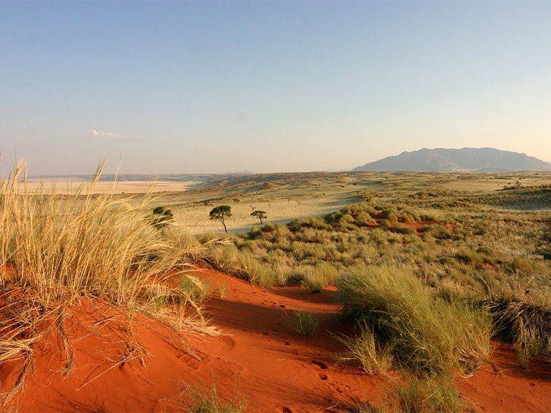 hice algo de lo que no estoy orgulloso