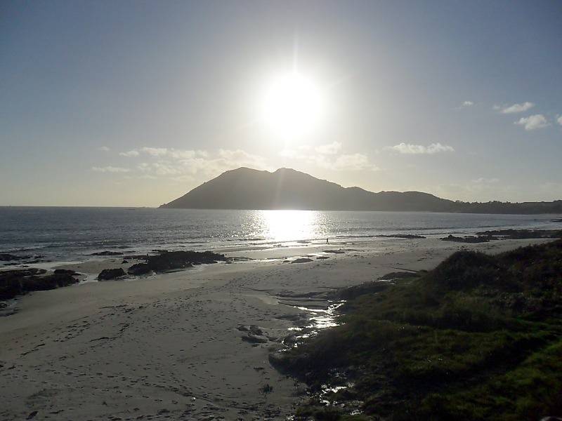 eran cigarrillos largos y delgados con boquilla de carton