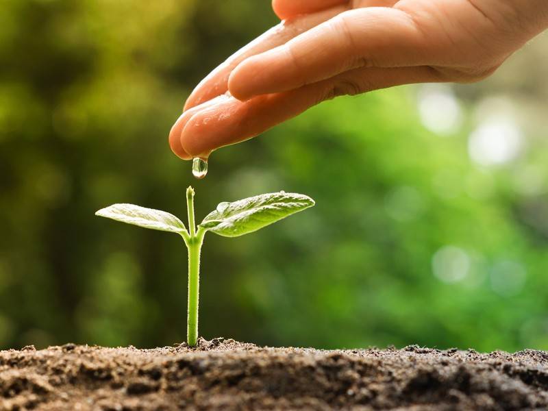 los positivistas logicos decian algo parecido