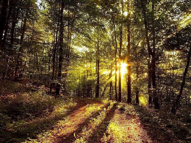 aun asi locke no niega radicalmente la naturaleza humana