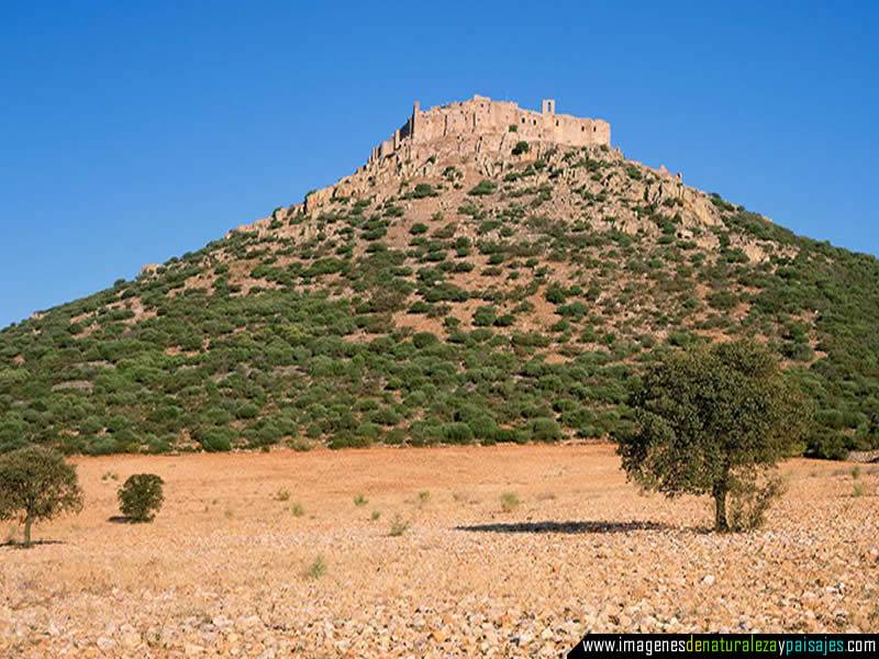 el ermita se sintio en la obligacion de ir a buscarlo