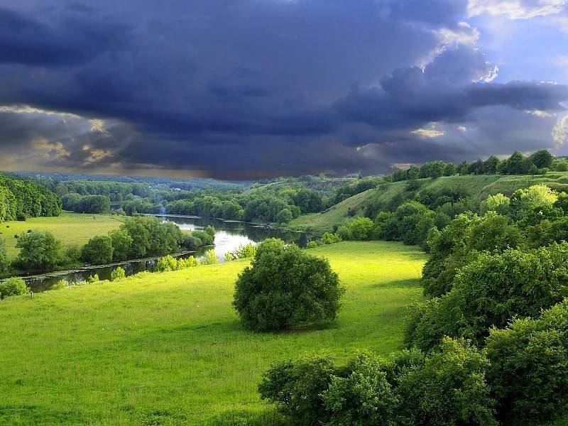 lo mejor sera que se vaya