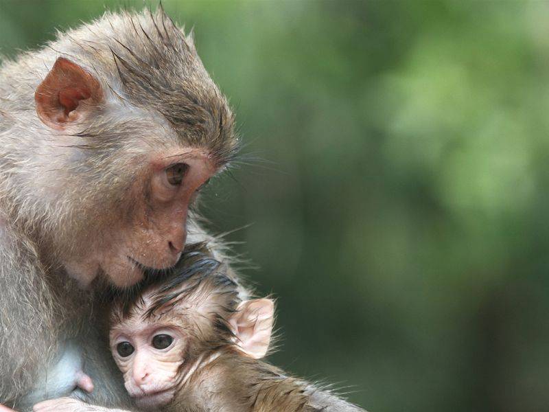su mirada no vacilo