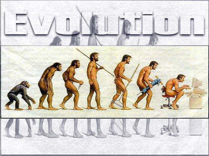 hay una especie des son etapas en realidad