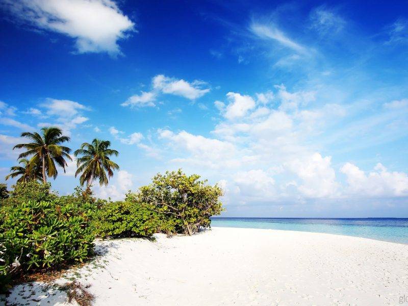 todo se dara por fescrito