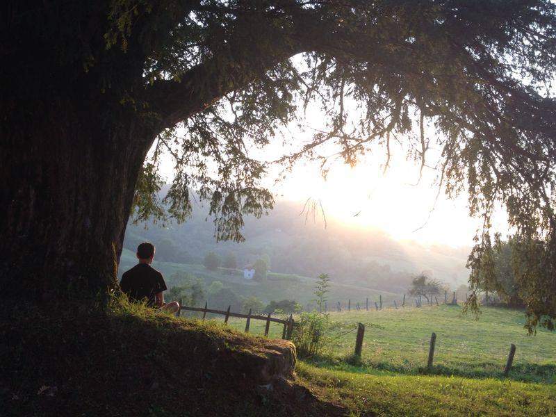 con formemonos con esta suposicion