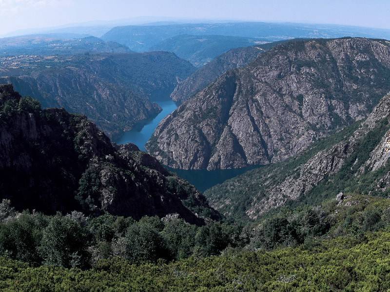 naturalizose en esta villa y dejo hijos en ella