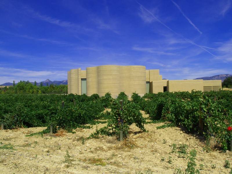 la muerte de la senora de meursault le ha afectado mucho