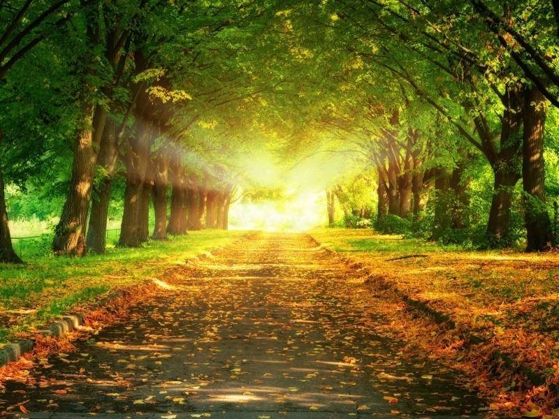 dentro de seis meses ya lo tendre largo