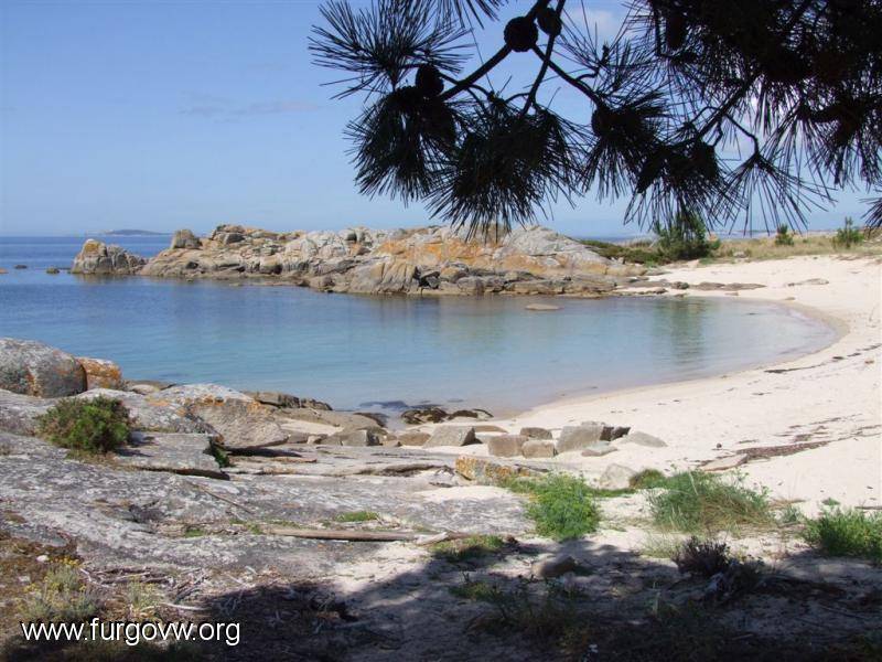 esos cautivos eran por naturaleza esencialmente migradores