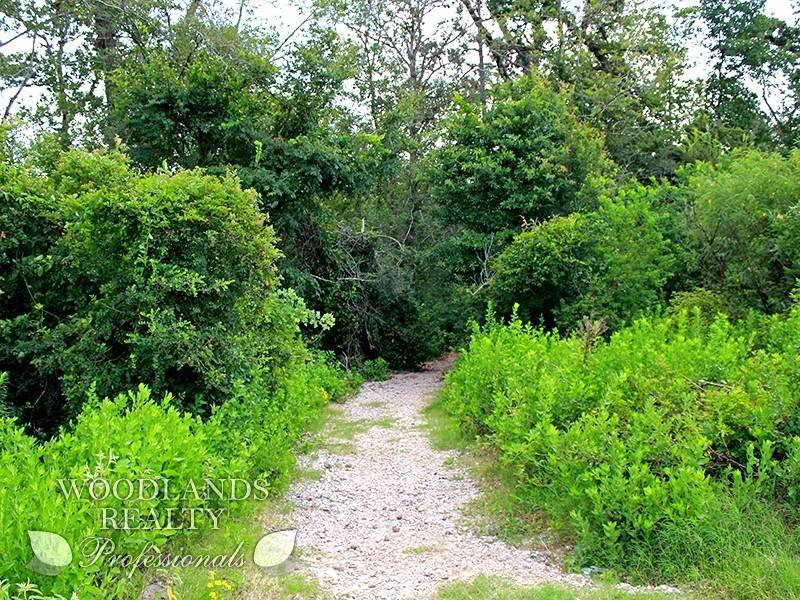 creo que saque el mejor partido de esta idea