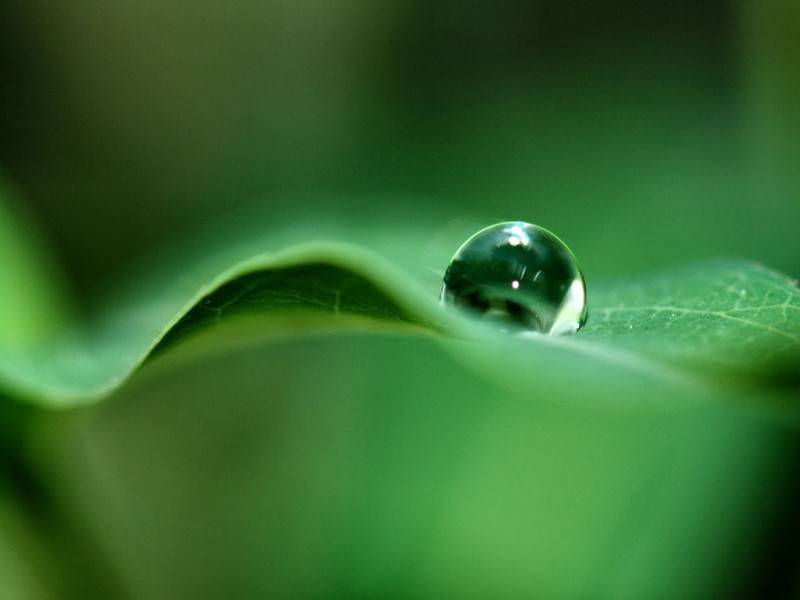 el agua estaba tan fria que hacia dano