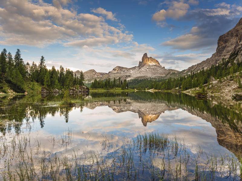 ella avanzaba a brazadas y yo la ayudaba agitando los pies