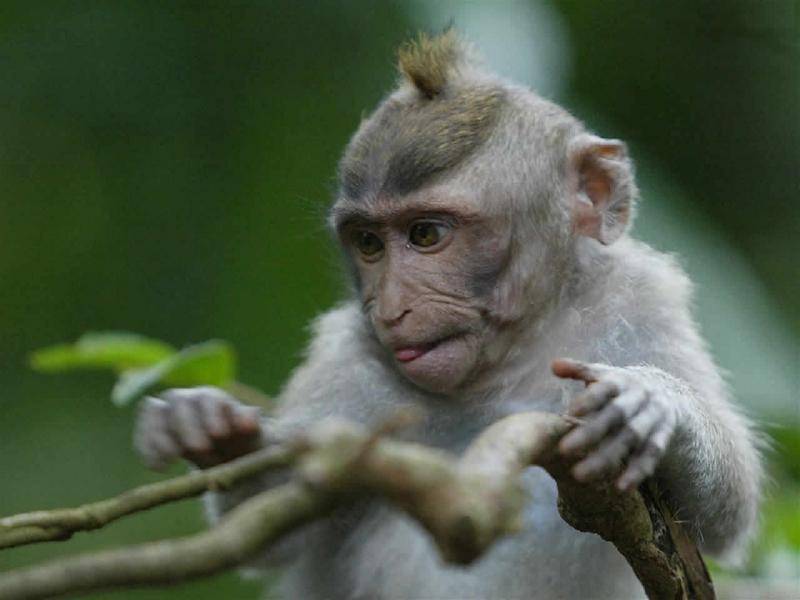 quiza hace mucho tiempo habia buscado alli un rostro