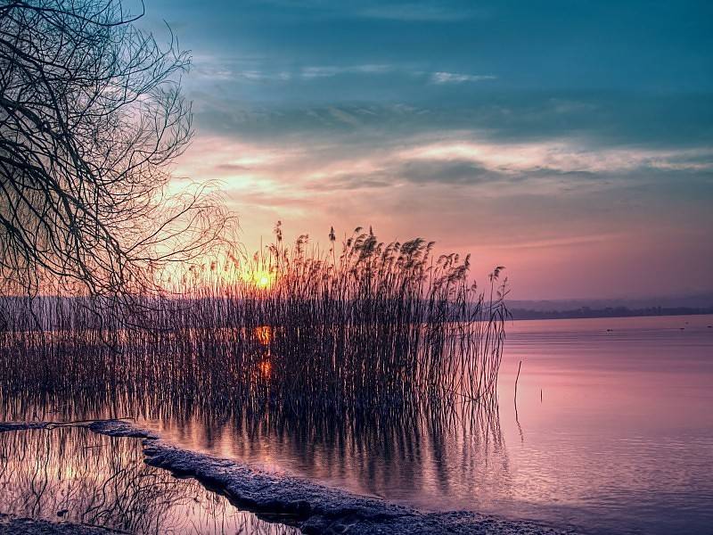 esos cautivos eran por naturaleza esencialmente migradores