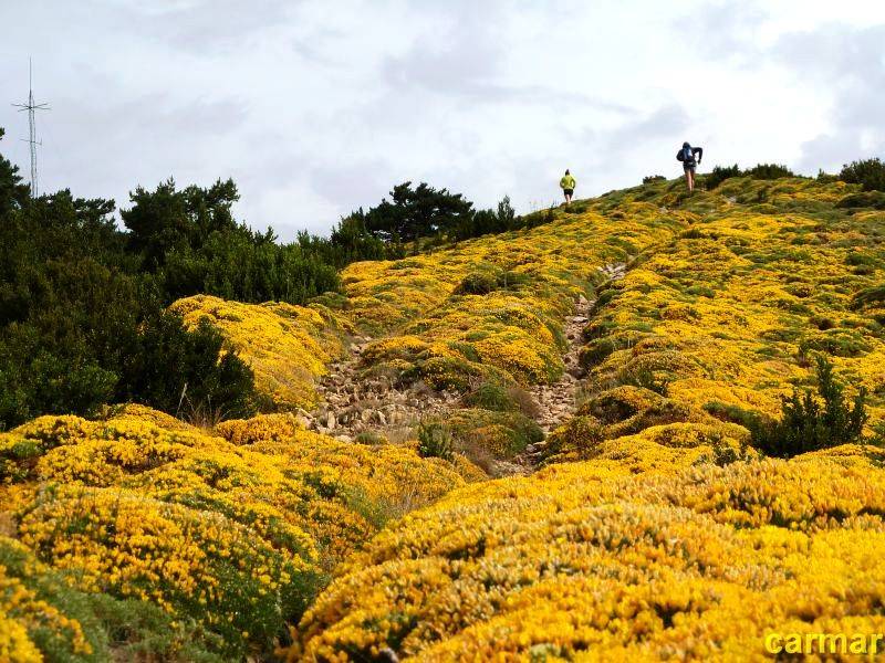 hice el camino a pie