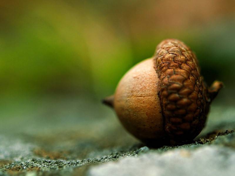 por encima de los intereses del pueblo