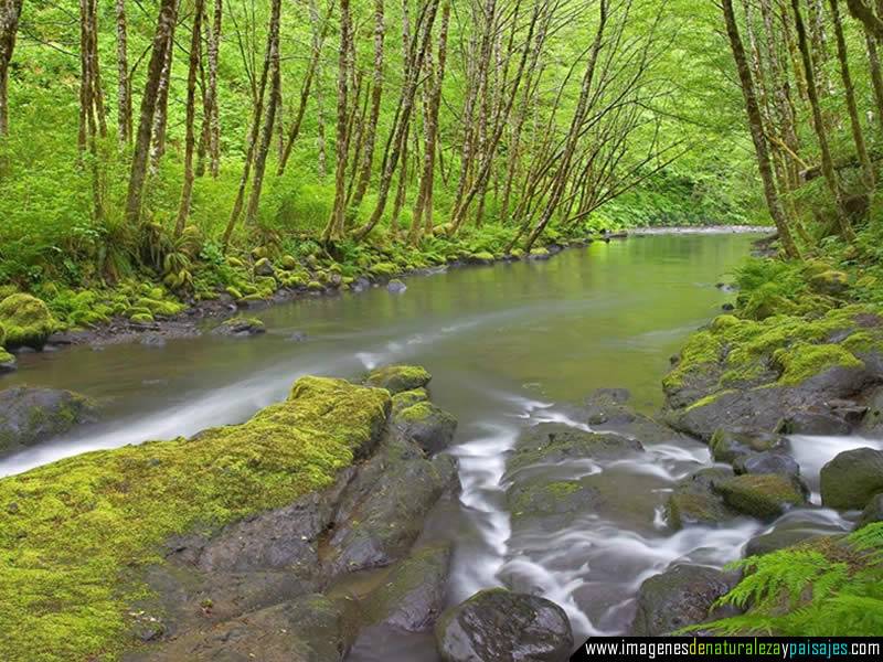 el agua estaba tan fria que hacia dano