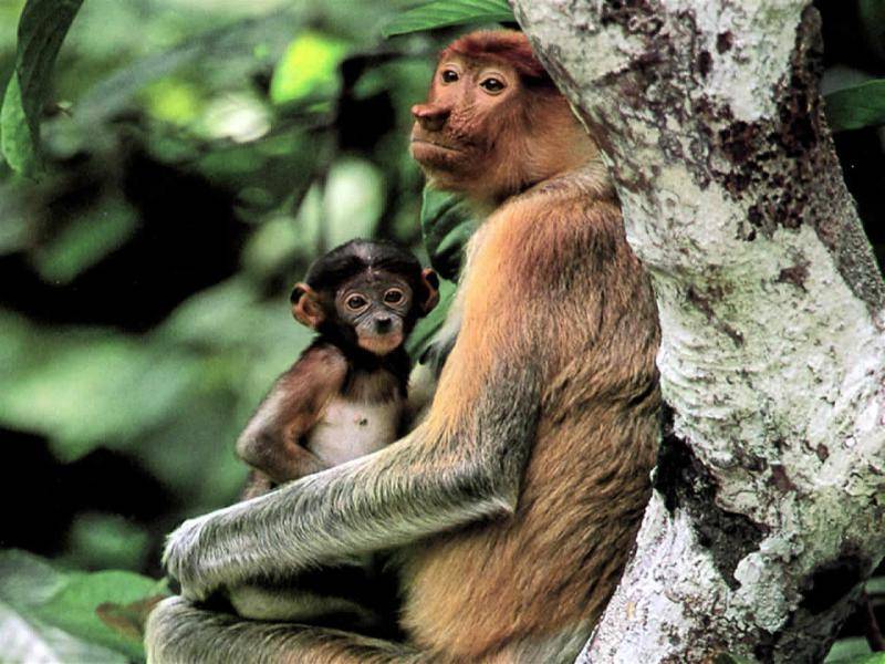 era un hombre incoloro de unos treinta anos de edad