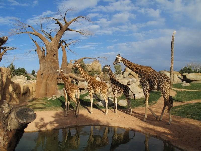 el agua estaba tan fria que hacia dano